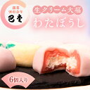 大福 【ふるさと納税】巴堂のわたぼうし（大福　6個）　【 和菓子 和スイーツ スイーツ お菓子 おやつ お茶うけ お茶のお供 生クリーム大福 生菓子 和生菓子 】