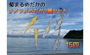 【ふるさと納税】菊まるめだかの【ラメラメめだか3種セット】計15匹 【 生き物 生体 魚 観賞魚 アクアリウム サファイア サボテン サボラメ スズラン スーパーラメ・改 天界 若魚 】