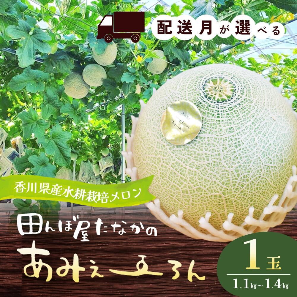 田んぼ屋たなかの「あみぇ〜ろん」 配送月をお選びください「4月下旬〜5月上旬」または「12月上旬〜12月下旬」 [果物類・フルーツ・果物・詰合せ・セット・フルーツ・果物類・メロン青肉] お届け:4月下旬〜5月上旬または12月上旬〜12月下旬