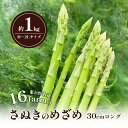 【ふるさと納税】16farmのアスパラ「さぬきのめざめ30cmロング」M~2Lサイズ1kg アスパラガス さぬきのめざめ ロングアスパラ 野菜 やさい 新鮮 東かがわ お届け:2025年3月1日~2025年9月30日