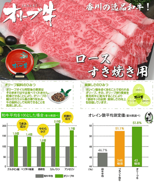 【ふるさと納税】黒毛和牛オリーブ牛ロースすき焼き用 約500g×3
