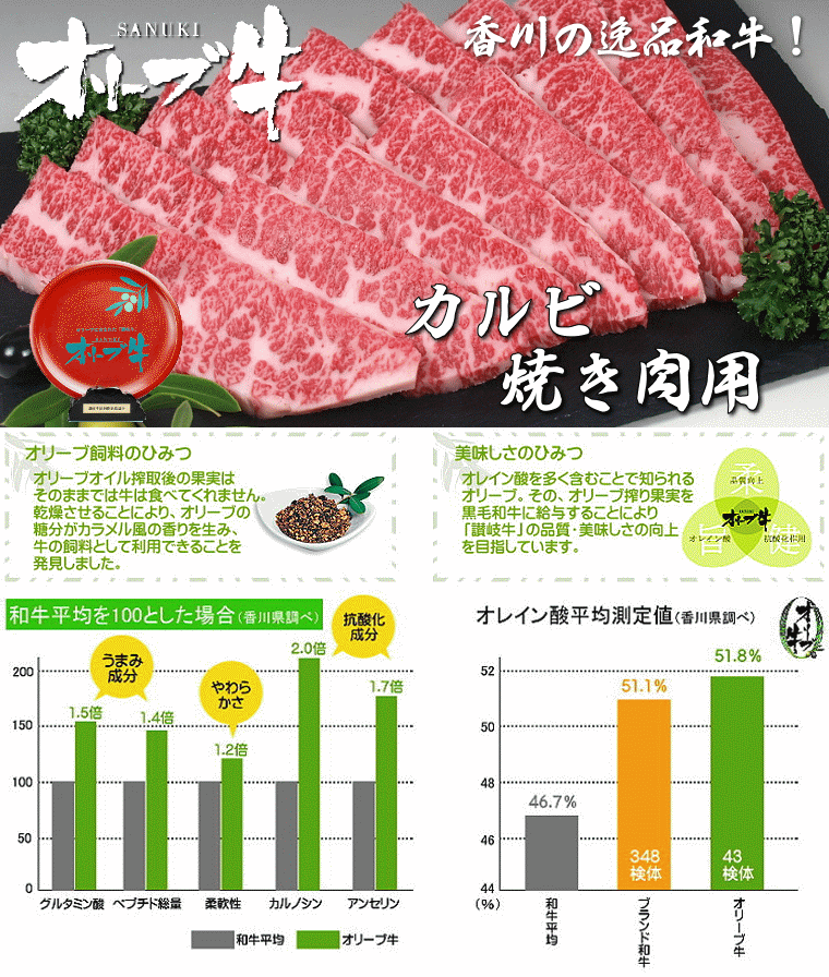 【冷蔵発送】スペアリブハーフ　約300g