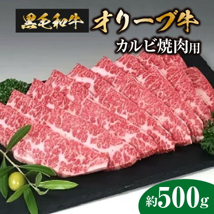 黒毛和牛オリーブ牛　カルビ焼肉用　約500g