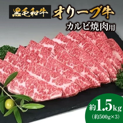 黒毛和牛オリーブ牛　カルビ焼肉用　約500g×3 ブランド牛 柔らかい肉質 BBQ 小分け 冷凍