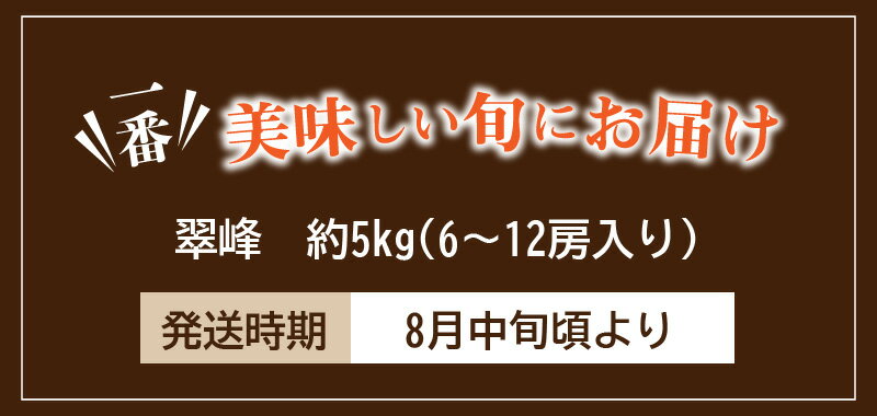 【ふるさと納税】【先行予約】 マスカット 翠峰 ぶどう 約5kg 送料無料 産地直送 旬の果物 フルーツ お取り寄せグルメ お取り寄せ ギフト プレゼント 贈り物 大粒 人気 種なし 種なしぶどう クール便 果物 三豊市 香川県