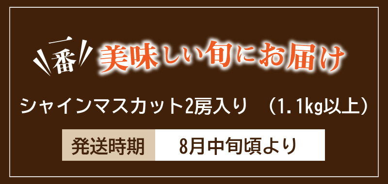 【ふるさと納税】【先行予約】期間限定 シャインマスカット 2房 ( 約1.1kg以上 ) フルーツ 果物 丸かじり ぶどう マスカット 美味しい 旬 新食感 糖度 皮ごと 種なし 送料無料 食品 お取り寄せ お取り寄せグルメ