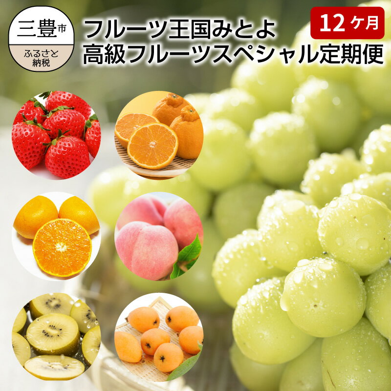 【ふるさと納税】【数量限定】フルーツ王国みとよ高級フルーツスペシャル定期便（12回）