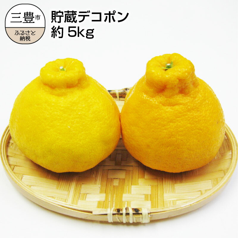 【ふるさと納税】甘み抜群 「貯蔵デコポン」 約5kg