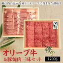 【ふるさと納税】オリーブ牛＆豚焼肉三昧セット 牛モモ肉 豚ロース 食べ比べ BBQ 冷凍 2