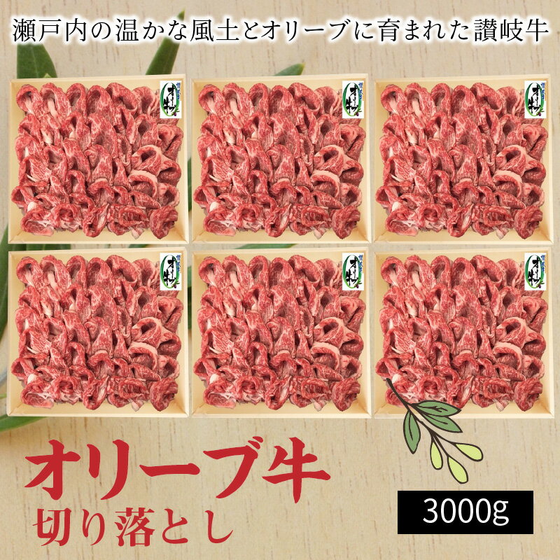 【ふるさと納税】オリーブ牛 切り落とし3000g