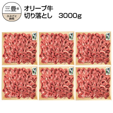 【ふるさと納税】オリーブ牛 切り落とし3000g