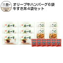 【ふるさと納税】オリーブ牛 ハンバーグ6袋・牛すき丼4袋セット s-15