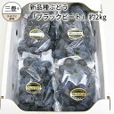 【ふるさと納税】新品種ぶどう「ブラックビート」 約2kg
