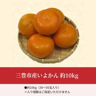 【ふるさと納税】三豊市産いよかん 約10kg