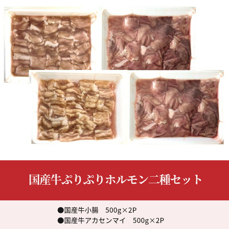 【ふるさと納税】国産牛ぷりぷりホルモン二種セット 食べ比べ 小腸 アカセンマイ 焼肉 もつ鍋