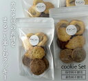 【ふるさと納税】和三盆ビーントゥバーのクッキーセット