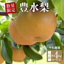 【ふるさと納税】【配送不可地域:北海道・沖縄県・離島】 数量限定 豊水梨 梨 大箱 9〜11玉 約4kg 平和農園 国産 フルーツ 果物 季節 旬 高糖度 スイ...