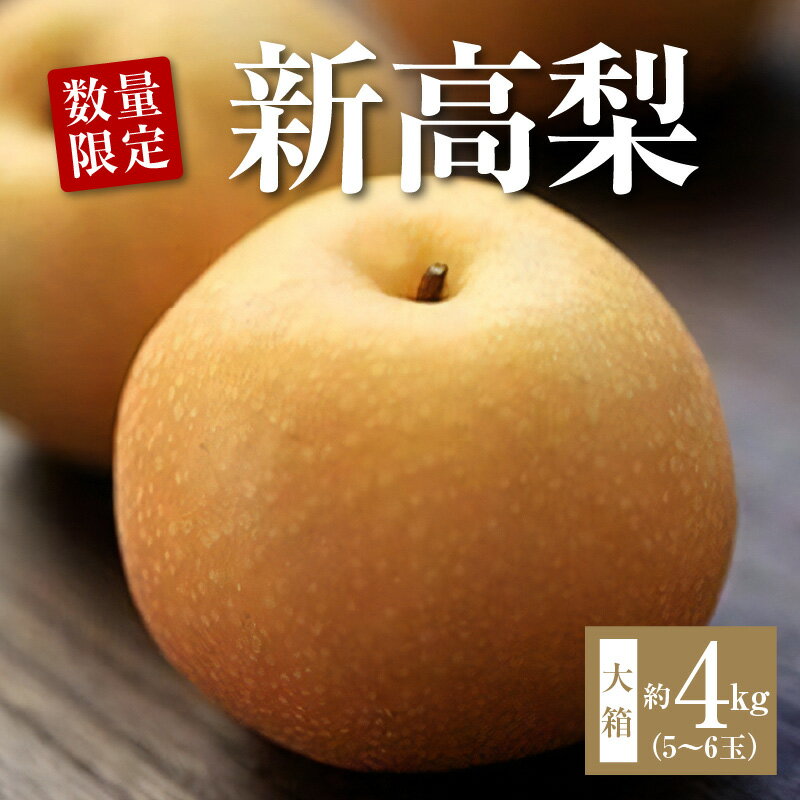 【ふるさと納税】数量限定！平和農園 新高梨 大箱（5～6玉）＜約4kg＞