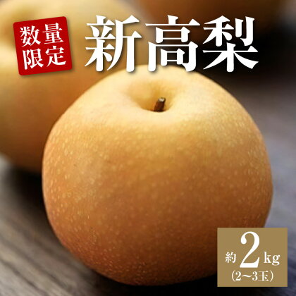 数量限定！平和農園 新高梨 （2～3玉）＜約2kg＞