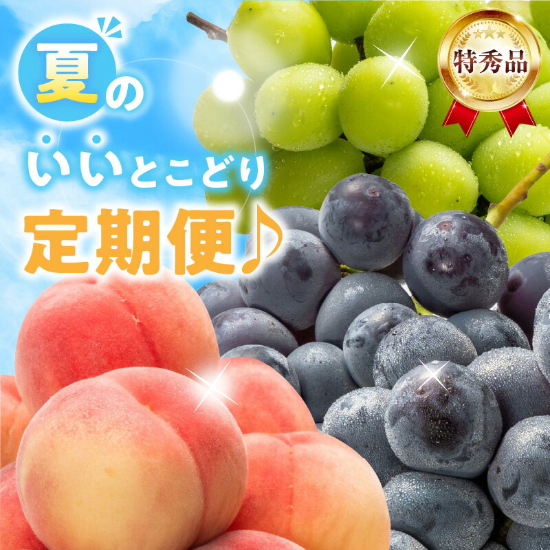 【ふるさと納税】 特秀品 夏 定期便 7月 桃 8月 ニュー