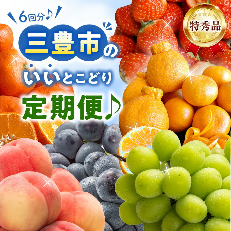 桃 7月 ニュー ピオーネ 8月 シャインマスカット 9月 約2kg 小原紅早生 みかん せとか デコポン 12月 2月 約5kg さぬき姫 イチゴ 約1kg 1月 定期便 果実 鮮度 老舗 旬 フルーツ王国 香川県 三豊市 送料無料