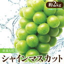 【ふるさと納税】【先行予約】【配送不可地域:北海道・沖縄県・離島】 厳選大粒 「シャインマスカット」 約2kg シャインマスカット 大粒 贈答用 ギフト お取り...