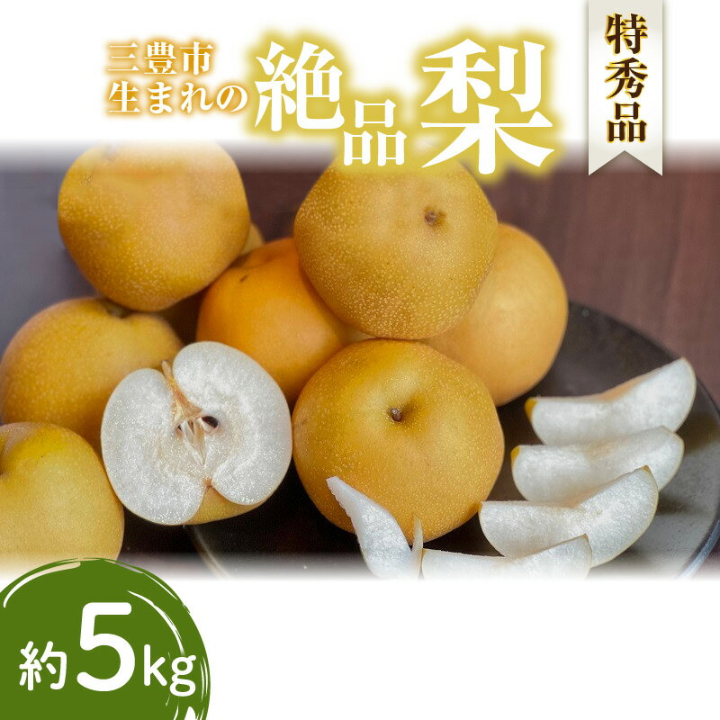 【ふるさと納税】【2024年出荷】特秀品！ 梨 約 5kg 