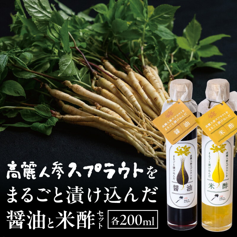 2位! 口コミ数「0件」評価「0」高麗人参スプラウトをまるごと漬け込んだ醤油と米酢セット 高麗人参 高麗 人参 スプラウト 漬け込み 醤油 米酢 酢 調味料 調味 ドレッシン･･･ 