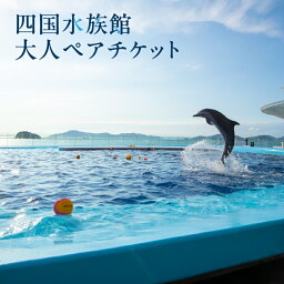 【ふるさと納税】四国水族館 大人 ペアチケット 水族館 四国水景 イルカ 瀬戸内海 旅行 旅 家族旅行 夫婦旅行 恋人 デート 友達 ペア 施設 券 チケット 施設利用券 入館券 入場券 パンフレット 展示 海の生き物 海 海洋生物 魚 観賞 香川県 三豊市 送料無料