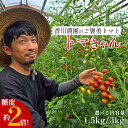 【ふるさと納税】ミニトマト 1.5kg~3kg 選べる 香川農園 三豊市産トマト プチトマト 訳あり ぎゅっと詰まった太陽のエネルギー 新鮮そのまま 健康と美味しさの両立 一口で感じるフレッシュ 一日分のビタミンチャージ 香川県 三豊市 トマト トマト好き トマト農家 1kg以上