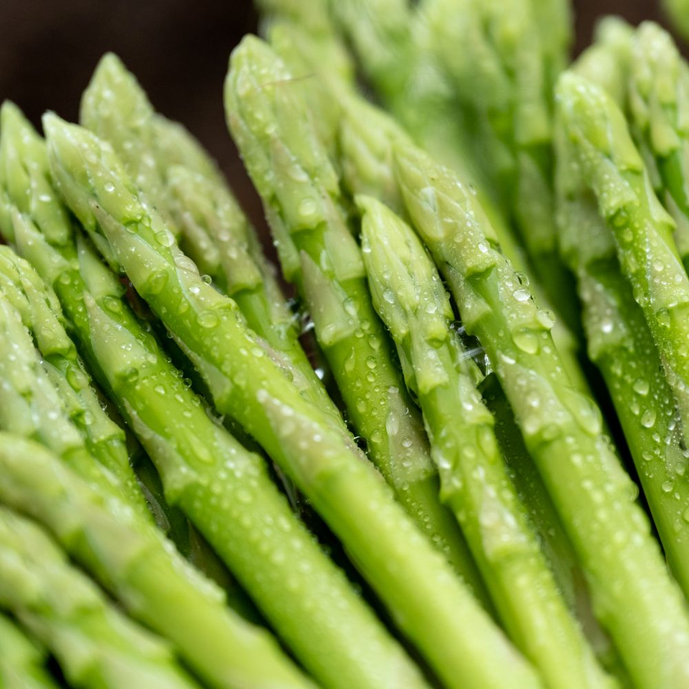 【ふるさと納税】アスパラガス さぬきのめざめ 訳あり 1kg 先行予約［グリーンアスパラ 夏芽 春芽 シャキシャキ食感 冷蔵 国産 野菜 産地直送 フードロス 訳あり お取り寄せグルメ 人気 ギフト 贈答用 取り寄せ アスパラ 送料無料 香川県 三豊市 三豊オリーブ］