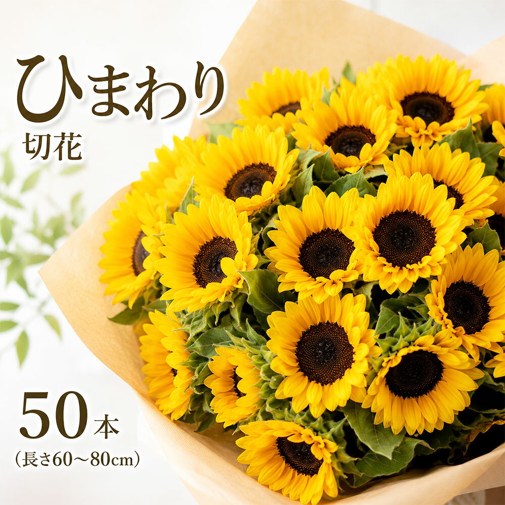 ヒマワリ 切花 50本 長さ60～80cm [ ひまわり 向日葵 生花 花 フラワー 切り花 夏の花 季節の花 花束 ブーケ アレンジメント 玄関 インテリア 飾り 観賞用 ギフト 贈り物 プレゼント 夏 香川県 三豊市 返礼品 ]