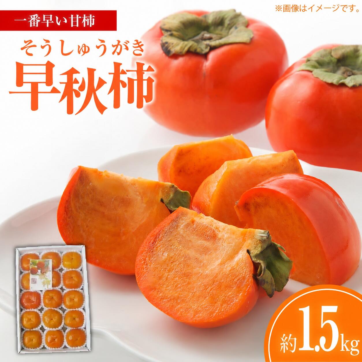 柿 早秋柿 (そうしゅうがき) 約1.5kg 一番早い甘柿 [ かき カキ 甘柿 早生 果物 フルーツ 旬 国産 香川県産 産地直送 お取り寄せ ギフト 贈答用 送料無料 10,000円 返礼品 香川県 三豊市 五色青果 ]