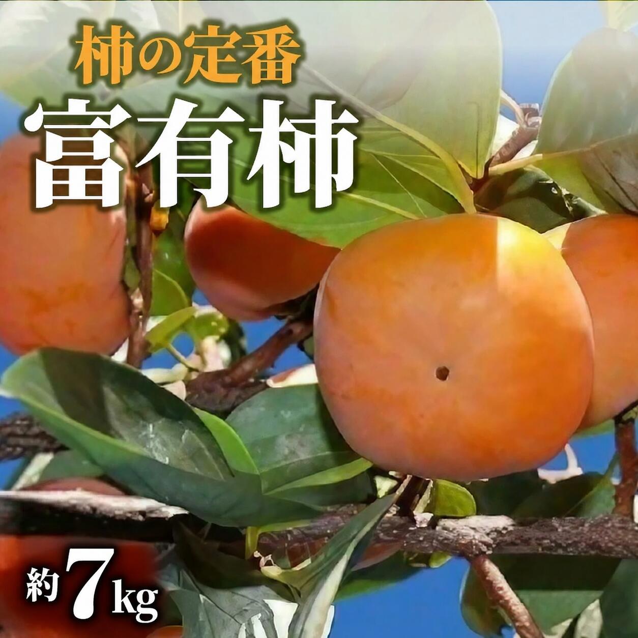 柿 富有柿 約7kg 定番の甘柿 [ かき カキ 甘柿 大容量 果物 フルーツ 旬 国産 香川県産 産地直送 お取り寄せ ギフト 家庭用 送料無料 季節限定 くだもの さぬき 20,000円 返礼品 香川県 三豊市 五色青果 ]