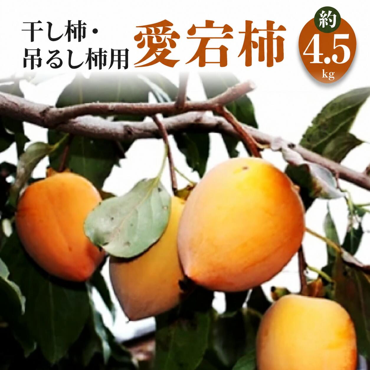 柿 愛宕柿 約4.5kg 干し柿・吊るし柿用 [ かき カキ あたご柿 渋柿 干し柿 吊るし柿 果物 フルーツ 旬 国産 香川県産 産地直送 お取り寄せ 送料無料 季節限定 10,000円 返礼品 香川県 三豊市 五色青果 ]
