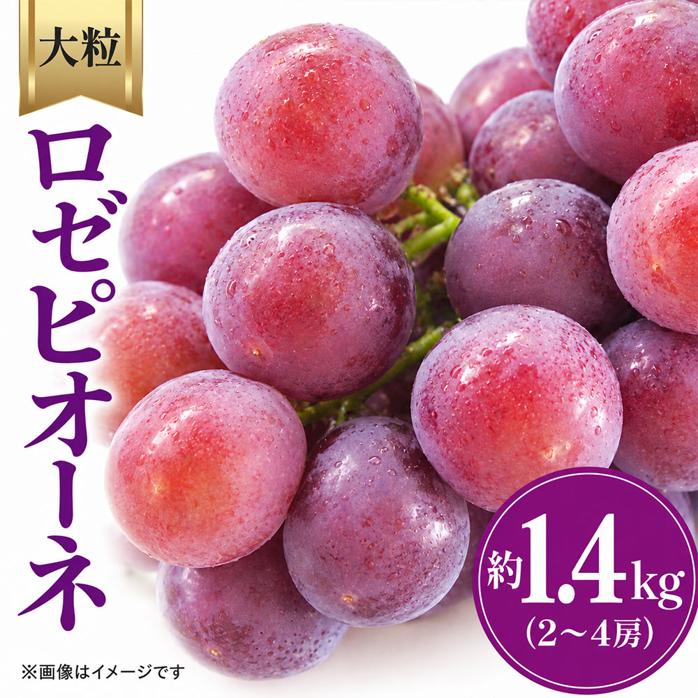 ぶどう ロゼピオーネ 約1.4kg [ ピオーネ 葡萄 ブドウ 果物 フルーツ 旬 国産 香川県産 産地直送 お取り寄せ 新鮮 ギフト 贈答用 送料無料 季節限定 くだもの 15,000円 返礼品 香川県 三豊市 五色青果 ]