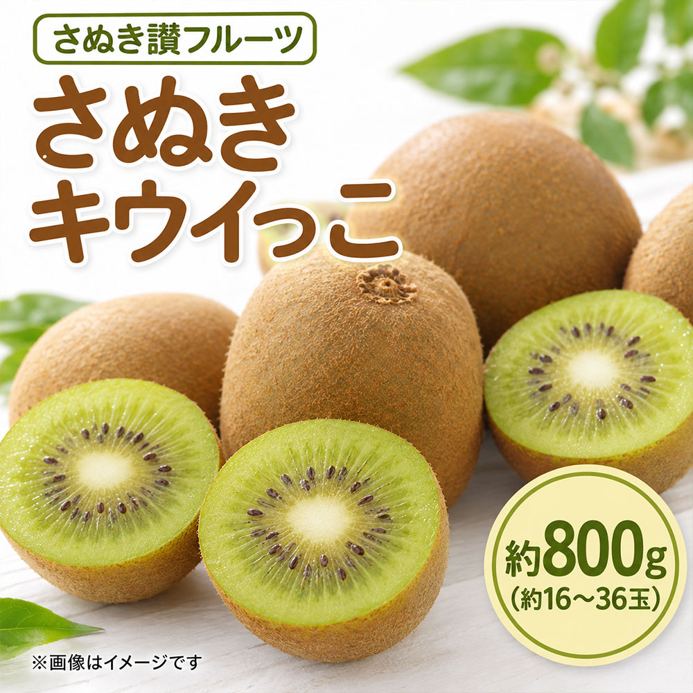 キウイ さぬきキウイっこ 約800g さぬき讃フルーツ [ キウイフルーツ 果物 フルーツ 旬 国産 香川県産 産地直送 お取り寄せ ギフト 贈答用 送料無料 季節限定 10,000円 返礼品 香川県 三豊市 五色青果 ]