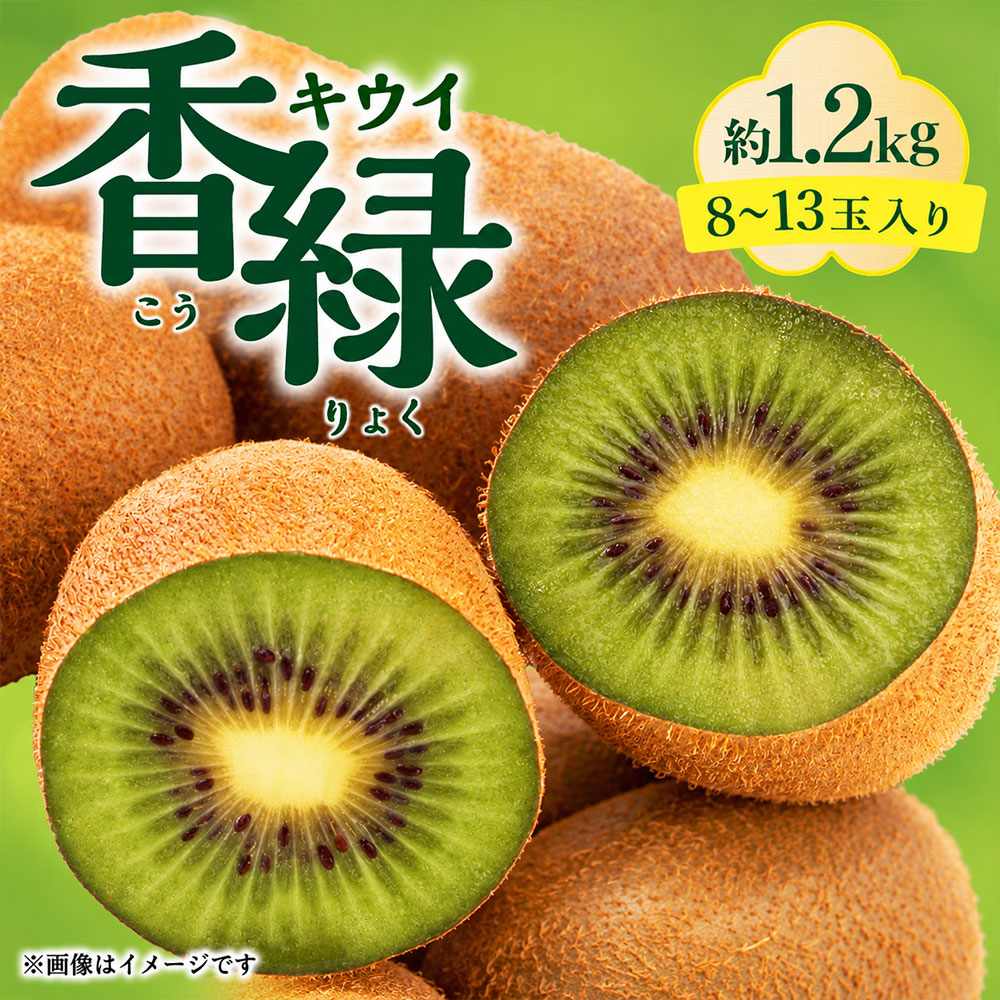 キウイ 香緑キウイ スイート16 約1.2kg さぬき讃フルーツ [ キウイフルーツ 果物 フルーツ 旬 国産 香川県産 産地直送 お取り寄せ ギフト 贈答用 送料無料 10,000円 返礼品 香川県 三豊市 五色青果 ]
