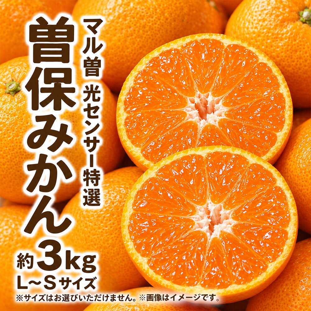 みかん 光センサー特選 曽保みかん 約3kg マル曽 [ ミカン 柑橘 果物 フルーツ 旬 国産 香川県産 産地直送 お取り寄せ ギフト 贈答用 送料無料 季節限定 くだもの 10,000円 返礼品 香川県 三豊市 五色青果 ]