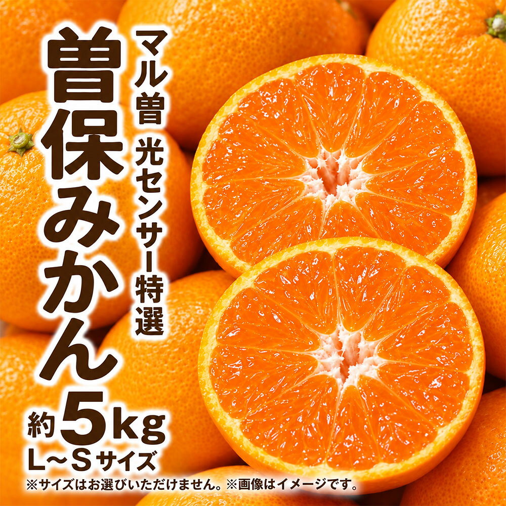 みかん 光センサー特選 曽保みかん 約5kg マル曽 [ ミカン 柑橘 果物 フルーツ 旬 国産 香川県産 産地直送 お取り寄せ ギフト 贈答用 送料無料 季節限定 くだもの 15,000円 返礼品 香川県 三豊市 五色青果 ]