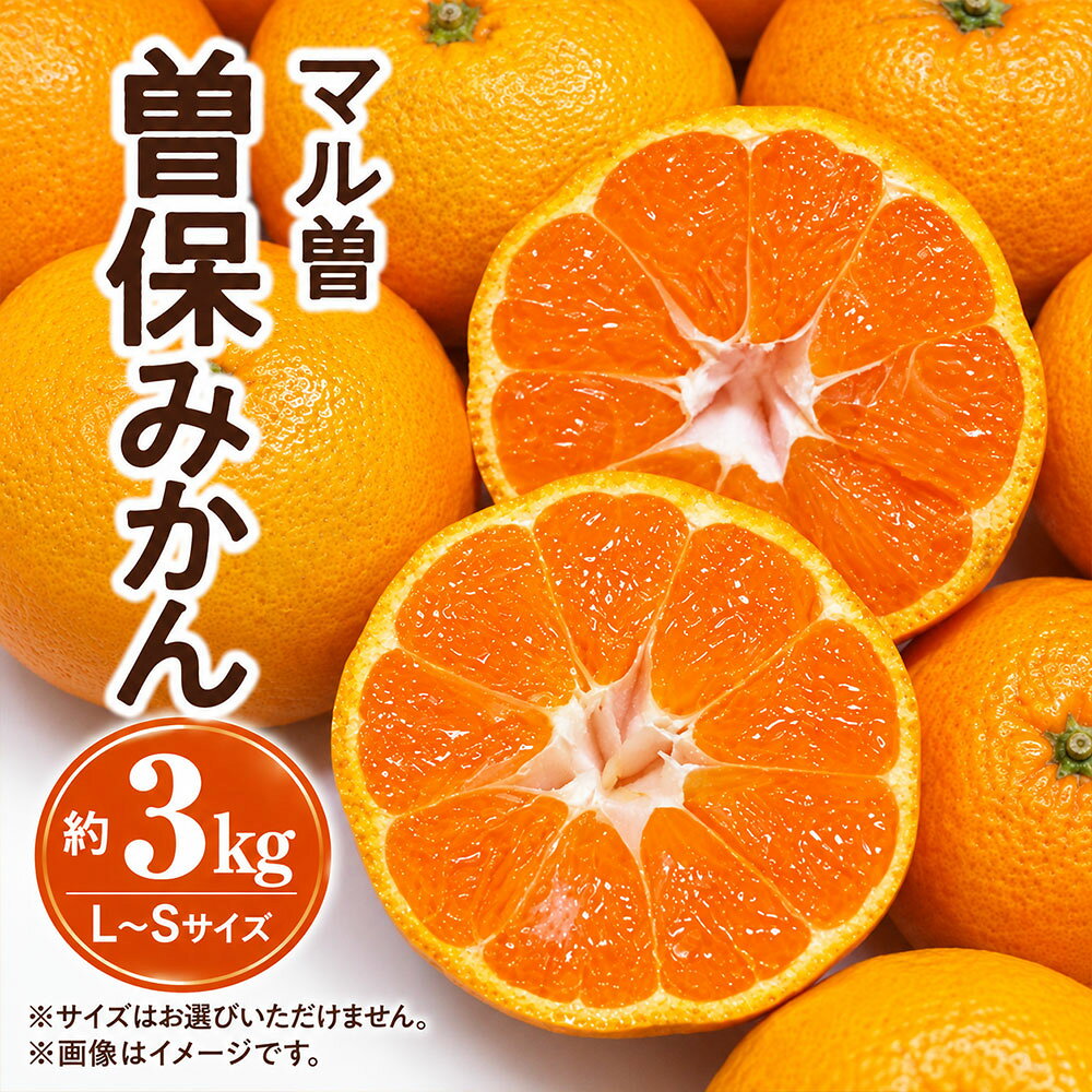 みかん 曽保みかん 約3kg マル曽 [ ミカン 柑橘 果物 フルーツ 旬 国産 香川県産 産地直送 お取り寄せ 新鮮 ギフト 家庭用 送料無料 季節限定 お取り寄せフルーツ 10,000円 返礼品 香川県 三豊市 五色青果 ]