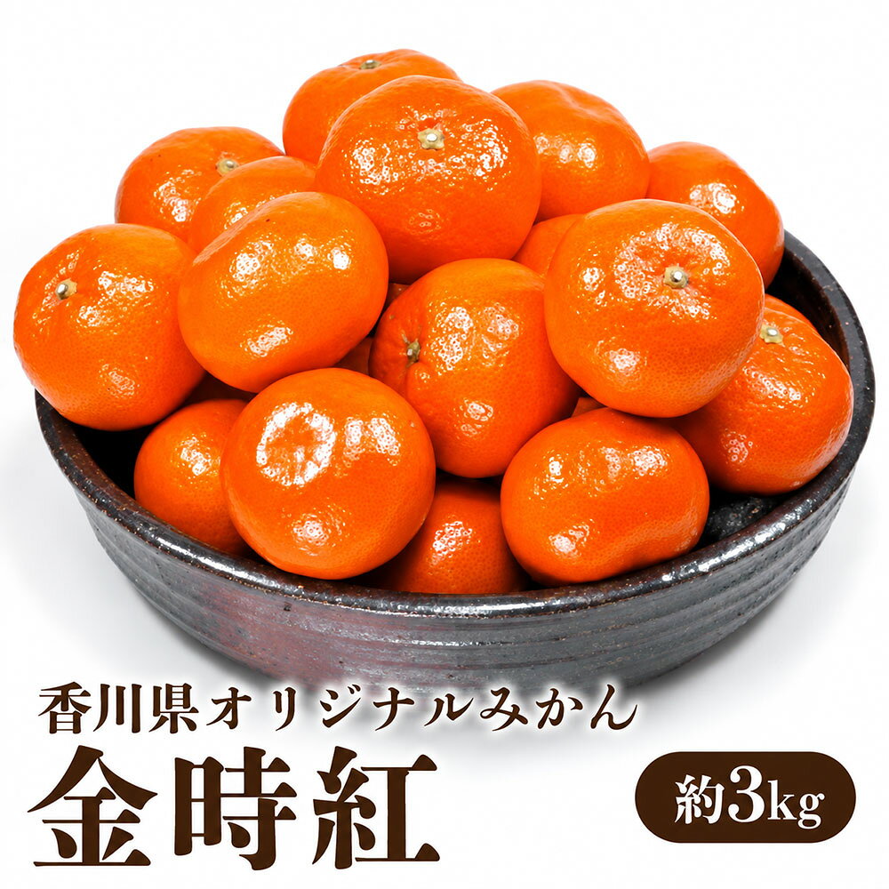 みかん 金時紅 約3kg 香川県オリジナル [ ミカン 柑橘 紅みかん 果物 フルーツ 旬 国産 香川県産 産地直送 お取り寄せ ギフト 贈答用 送料無料 季節限定 くだもの 20,000円 返礼品 香川県 三豊市 五色青果 ]