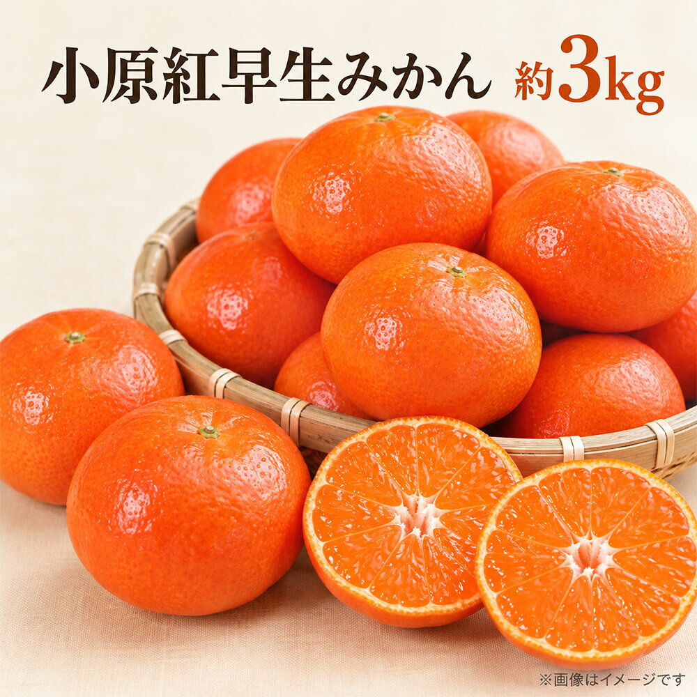 みかん 小原紅早生 約3kg [ 小原紅早生みかん ミカン 柑橘 紅みかん 果物 フルーツ 旬 国産 香川県産 産地直送 お取り寄せ ギフト 贈答用 送料無料 季節限定 10,000円 返礼品 香川県 三豊市 五色青果 ]