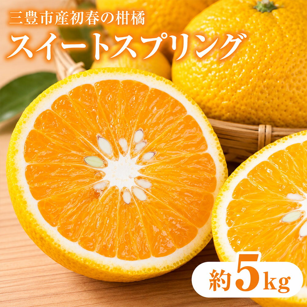 柑橘 スイートスプリング 約5kg 三豊市産 [ みかん ミカン 柑橘類 果物 フルーツ 旬 国産 香川県産 産地直送 お取り寄せ 新鮮 家庭用 送料無料 季節限定 くだもの 10,000円 返礼品 香川県 三豊市 五色青果 ]