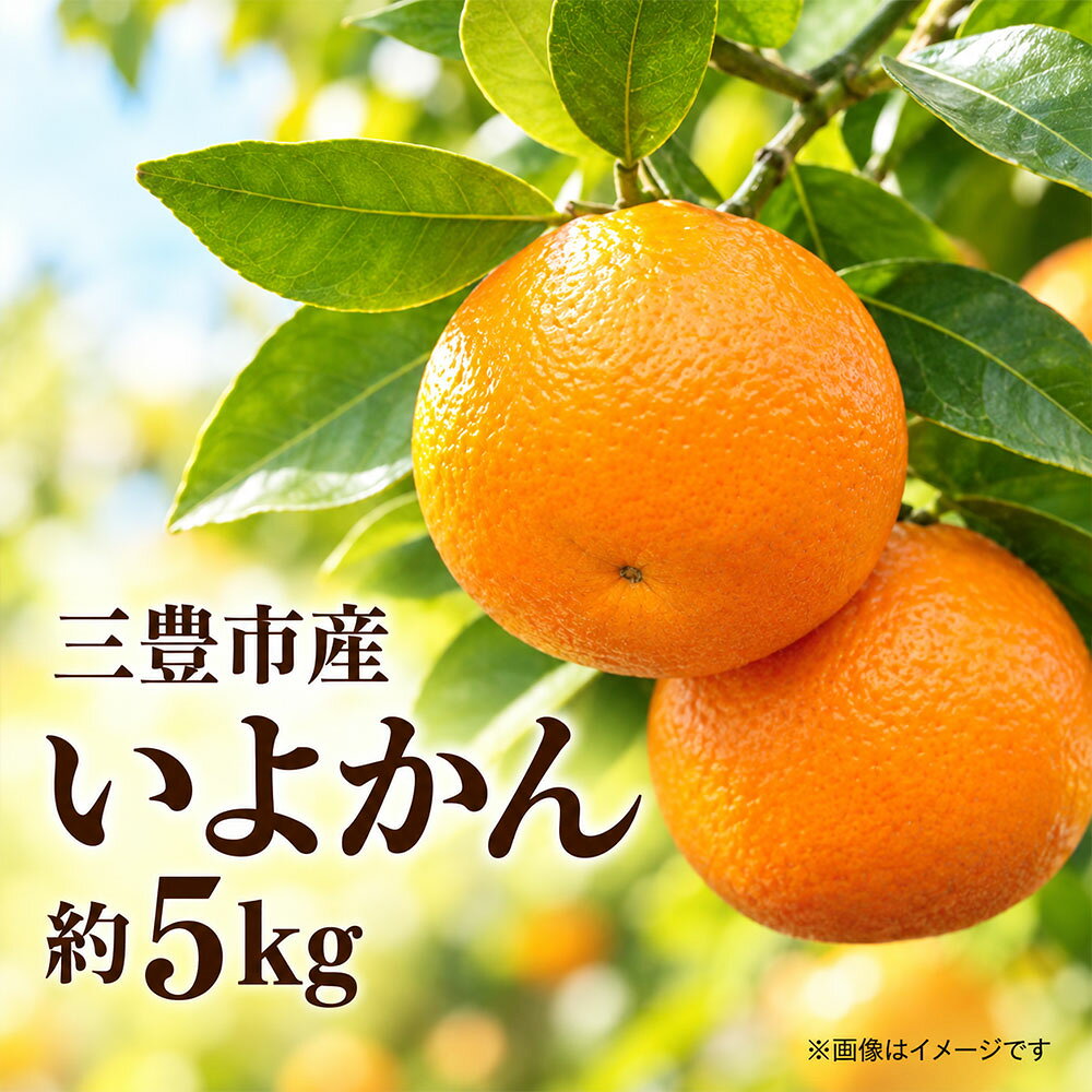 柑橘 いよかん 約5kg 三豊市産 [ 伊予柑 みかん ミカン 柑橘類 果物 フルーツ 旬 国産 香川県産 産地直送 お取り寄せ 家庭用 送料無料 季節限定 くだもの さぬき 10,000円 返礼品 香川県 三豊市 五色青果 ]