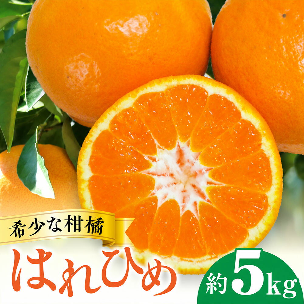 柑橘 はれひめ 約5kg 希少な柑橘 [ みかん ミカン 柑橘類 果物 フルーツ 旬 国産 香川県産 産地直送 お取り寄せ 新鮮 家庭用 送料無料 季節限定 くだもの さぬき 15,000円 返礼品 香川県 三豊市 五色青果 ]