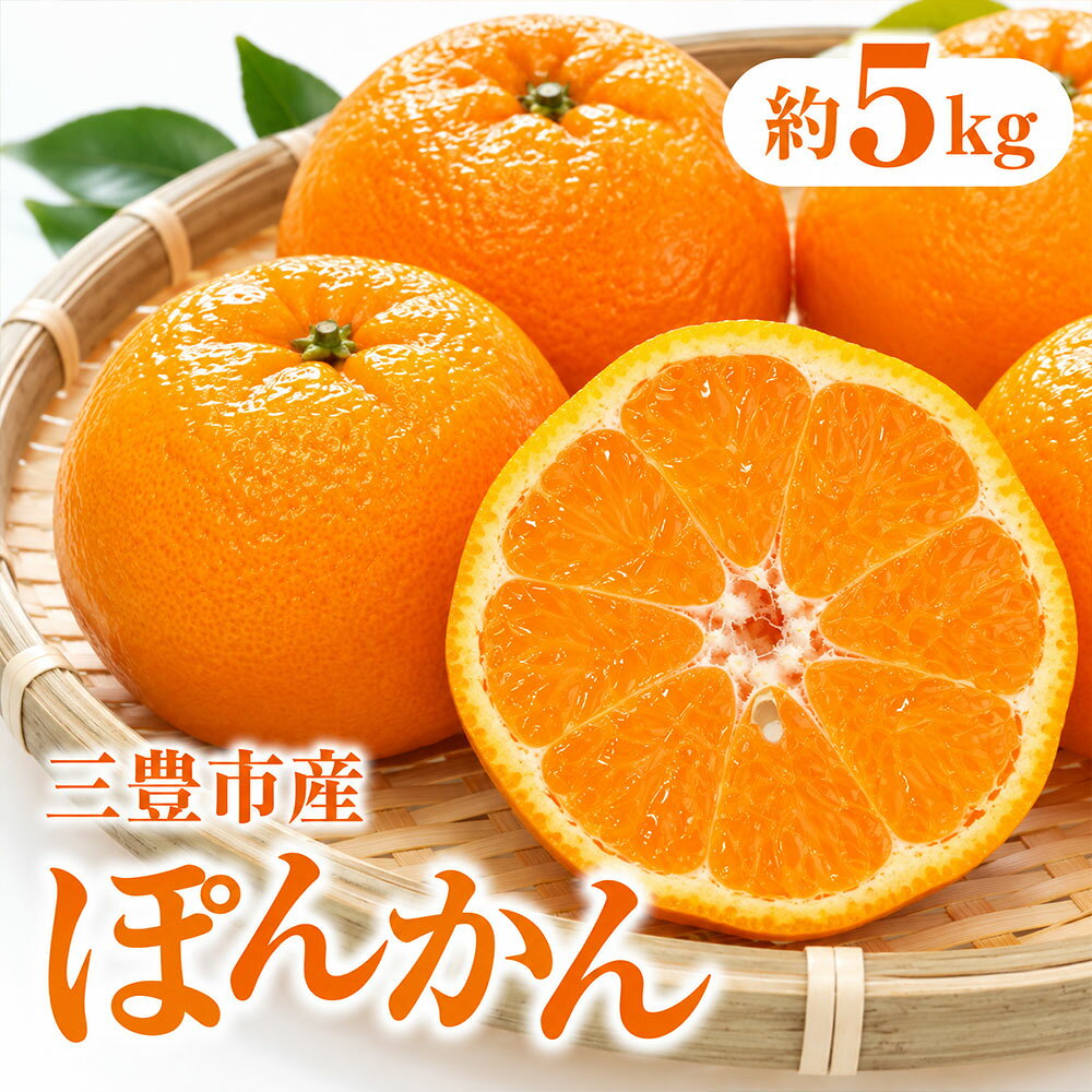 柑橘 ぽんかん 約5kg 三豊市産 [ ポンカン みかん ミカン 柑橘類 果物 フルーツ 旬 国産 香川県産 産地直送 お取り寄せ 家庭用 送料無料 季節限定 くだもの 15,000円 返礼品 香川県 三豊市 五色青果 ]