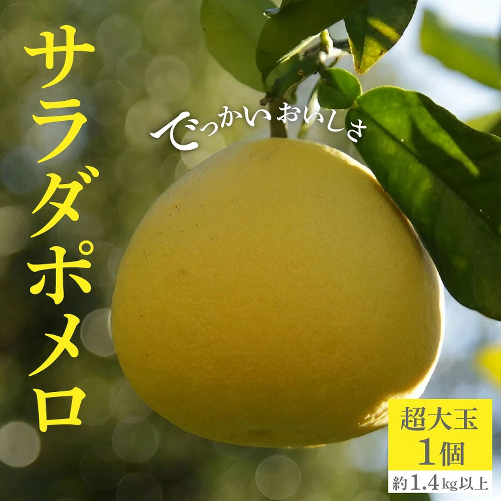 文旦 サラダポメロ 超特大 三豊市オリジナル [ ぶんたん ブンタン 柑橘 果物 フルーツ 旬 国産 香川県産 産地直送 お取り寄せ ギフト 贈答用 送料無料 季節限定 10,000円 返礼品 香川県 三豊市 五色青果 ]