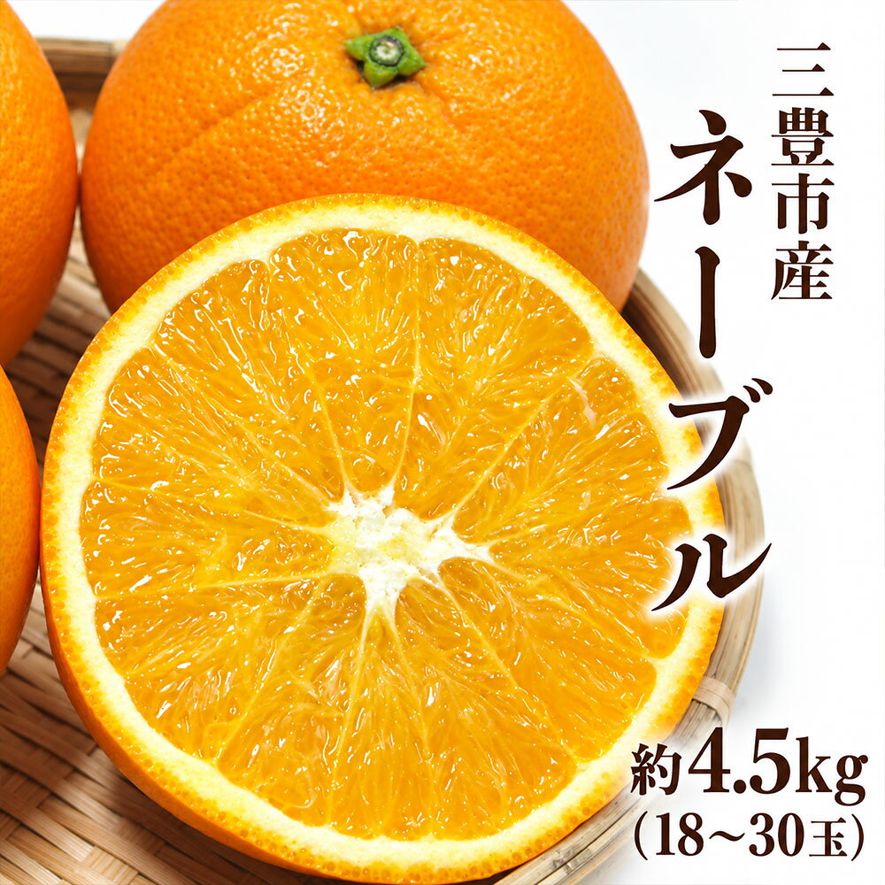 オレンジ 三豊市産 ネーブル 約4.5kg 18〜30玉 [ ネーブルオレンジ 柑橘 果物 フルーツ 旬 国産 香川県産 産地直送 お取り寄せ ギフト 家庭用 送料無料 10,000円 返礼品 香川県 三豊市 五色青果 ]