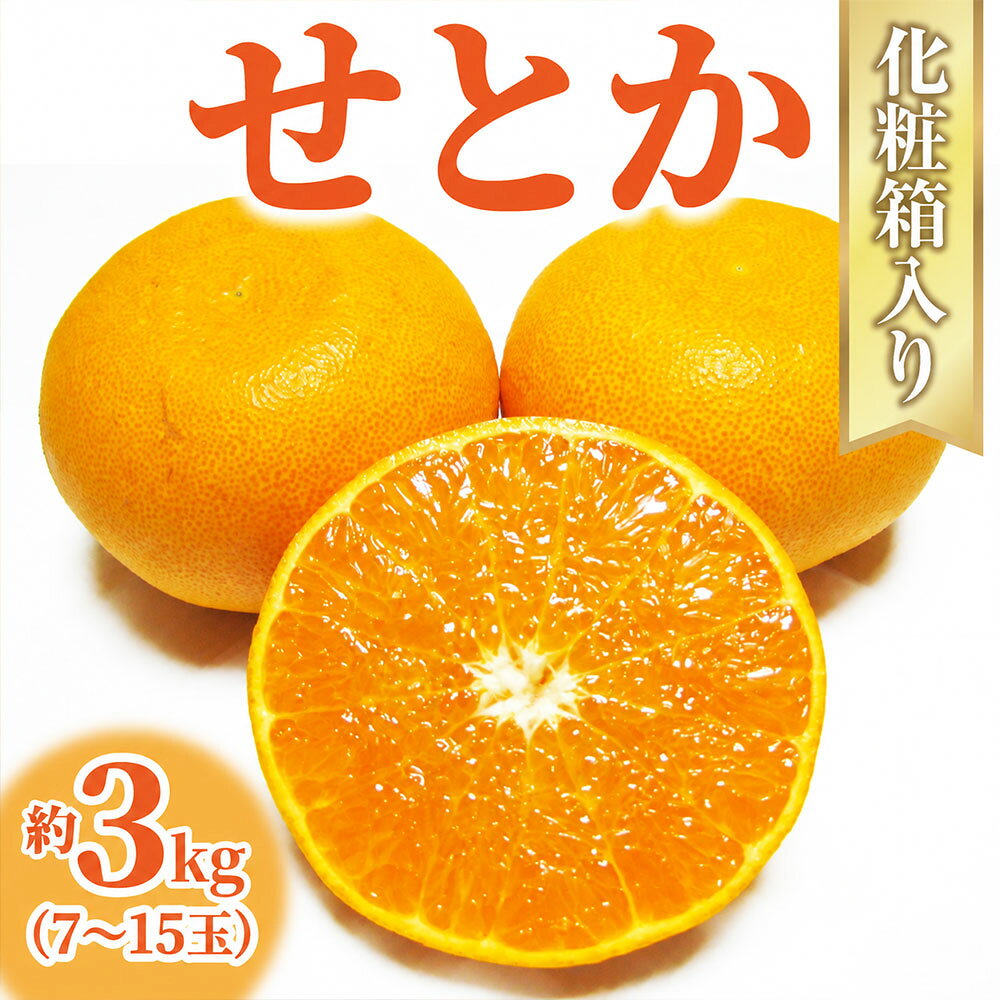 柑橘 せとか 約3kg 三豊市産 [ せとかみかん みかん ミカン 柑橘類 果物 フルーツ 旬 国産 香川県産 産地直送 お取り寄せ ギフト 贈答用 送料無料 季節限定 15,000円 返礼品 香川県 三豊市 五色青果 ]